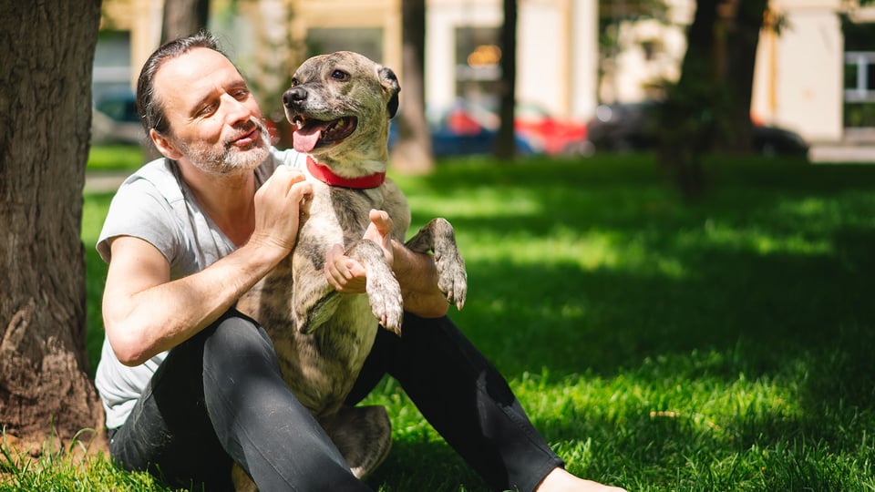 stimolare il cane anziano con attività fisiche